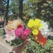 フラワー