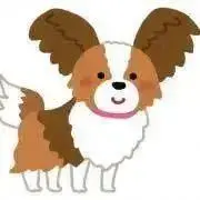ミの画像