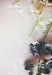 JU