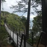 やたの画像