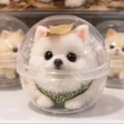 大和の画像