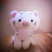 dokin1010の画像