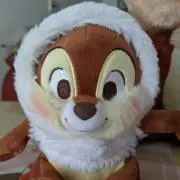 ローズピンクのねこの画像