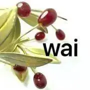 waiの画像