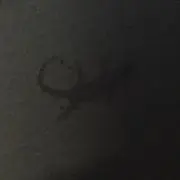 ポラリスの画像