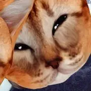 シマエナガ※プロフ必読！