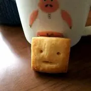 コムギ