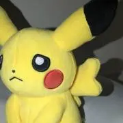ピカ子の画像