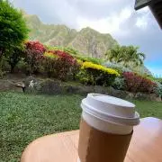 IOの画像