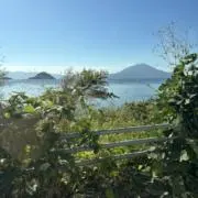 あーもんどの画像