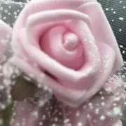 かなりやの画像