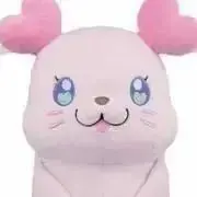 ぬんの画像