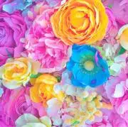 UVERworld 全員のサイン入りポラロイド おまけ付き 非売品 - メルカリ