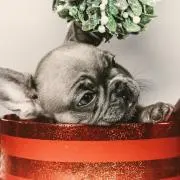 W　※ プロフィール必読 ※の画像