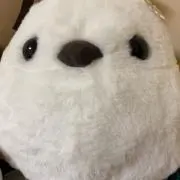 カメンダルフの画像
