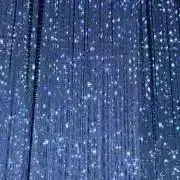 BIIの画像