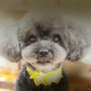 キヨミン