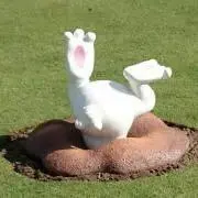 ちゃのんの画像