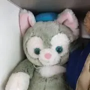 るうちゃんの画像
