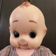 けんちゃんの画像