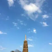 TOIROの画像