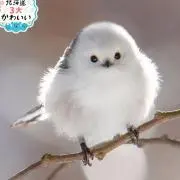 ゆめにゃん(プロフ読んでくださいね♪)