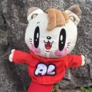 Mの画像
