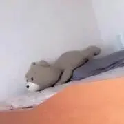 aburasobaの画像