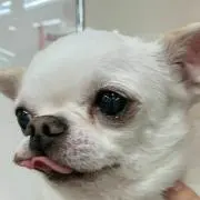 こうちゃんの画像