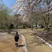 houの画像