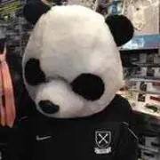 さいの画像