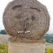 Hiroの画像