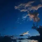 Sの画像