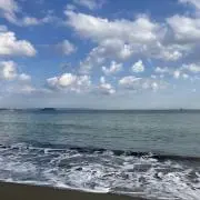 まぁの画像