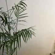2点以上で10%オフの画像
