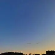 ぴぴぴの画像