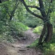 Iの画像