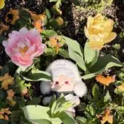 lanvienirの画像