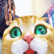 H&Yの画像