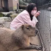 (^^)の画像