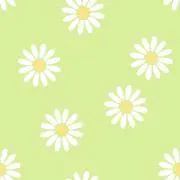 きらきらぼしの画像