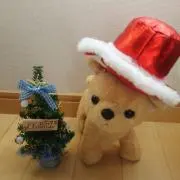 あごにゃんの画像