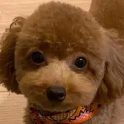 れお★プロフ必読★断捨離中