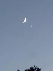 月夜の画像