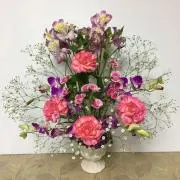 メイの画像