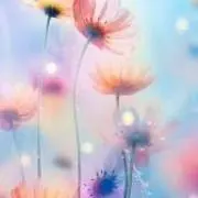 asaaの画像