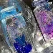 papiの画像