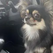 kazuの画像