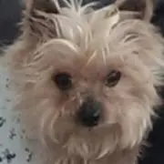 BABAの画像