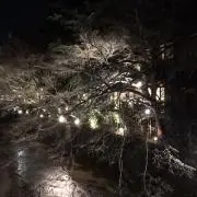 ベッティー・エリザ